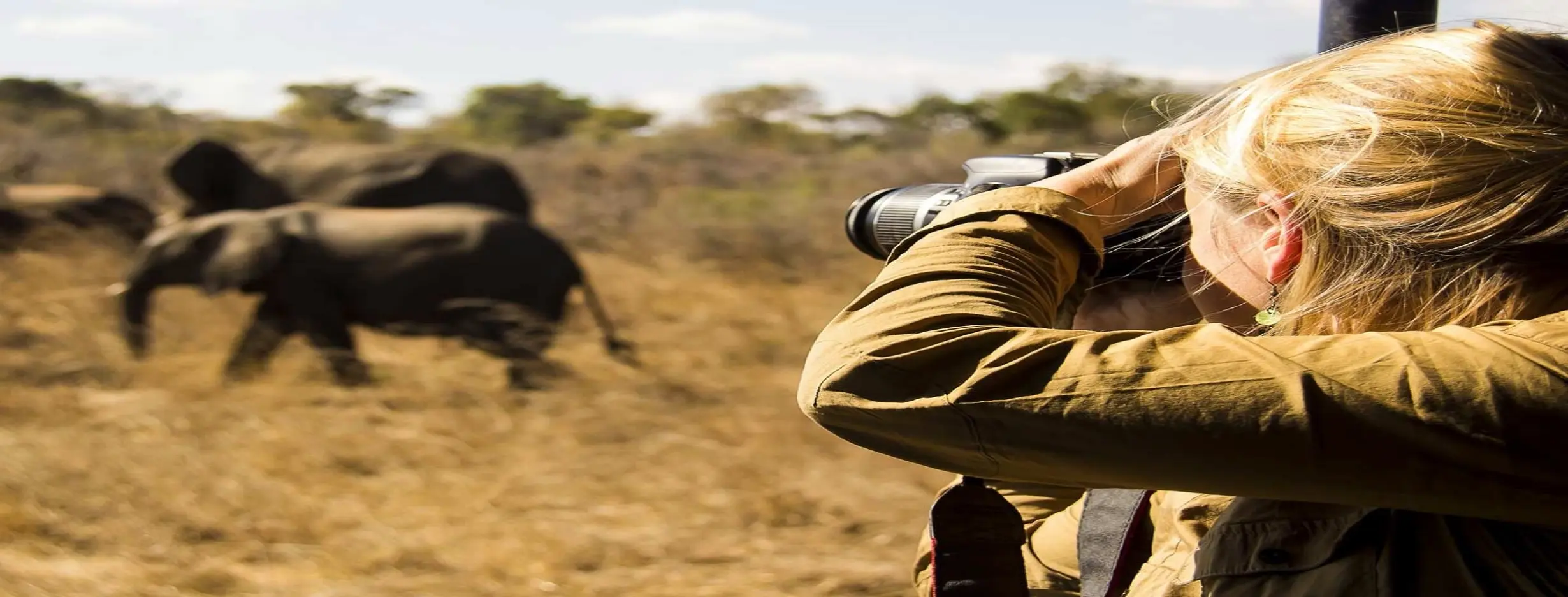 Image for Photography Safari